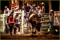 Rodeo Events